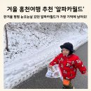 알파카정비 | 겨울홍천여행 3살 아기랑 가볼만한곳 알파카월드 꼭 다녀오세요