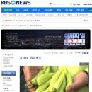 엉터리마트