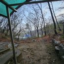 약진로변 이미지