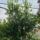 맑은샘사우나 이미지