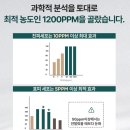 용답원약국 이미지