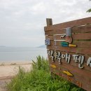 일월애관광농원 이미지