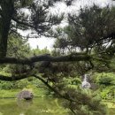 성산매점찐빵 | 제주 동쪽 성산일출봉 인근 가볼만한 곳 | 제주 일출랜드 솔직리뷰 (+ 주차, 입장료, 유모차, 휠체어 대여)