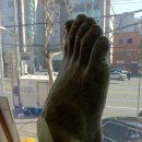 코리아오소틱 이미지