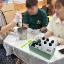 태장초등학교 병설유치원 이미지