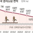 태양광 시설 무차별 설치 매년 여의도 면적 69배 농지 사라졌다 기사 이미지