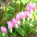 성북2리 이미지