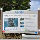 망주보건진료소 Daum카페