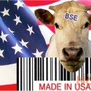 부자수입쇠고기 이미지