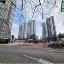 <빛의 바다 展 : 빛을 품은 금천> | 배곧한라비발디, 배곧한울부동산 따라 시흥 바다 내음 품은 우리집 찾기 여정