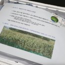 양지농장(1) 이미지