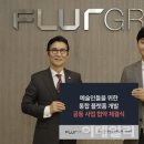 플러(FLUR) 이미지