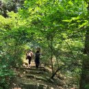 오두산 치유숲 이미지