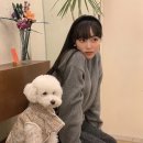 계절옷장 이미지