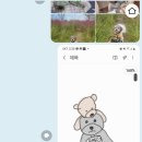 해버바잍 네이버블로그