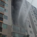 사하구-37 이미지