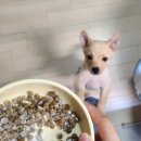 베프 바이오 이미지