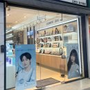 오렌즈-과기대점 이미지