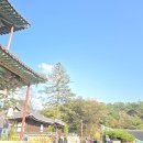 10월30일(목) 충방출석부 ~나는 반딧불 이미지