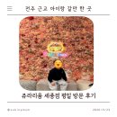 세종김밥천국 | 쥬라리움 세종점 평일 후기｜전주 근교 아이랑 갈만한 곳 실내 동물원&amp;키즈 카페 솔직 리뷰
