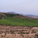 대일2농장 이미지