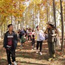아라투어 - 동구 중앙로 210-1 | 아라투어