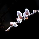 안산 식물원 이미지