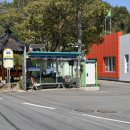 스테이매자미 이미지