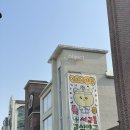 마루약국 | [블로그씨] 2023 팝업 스토어 다녀온 후기 (고심약국 / 마루는강쥐&amp;냐한남자 / 롬앤&amp;산리오, 김씨네...