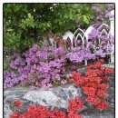 율리농장 이미지