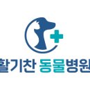 활기찬동물병원 네이버블로그