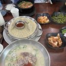 봄이 아빠의 댕댕이 간식 | 2026년 4월 | 봄봄봄 봄이 왔어요~♬