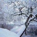 마산봉펜션 이미지