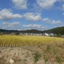 백경농장 이미지