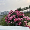성성호수공원 1984 한우클래식 하이엔드 비싼만큼 맛있어