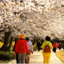 왕인박사유적지 이미지