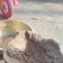 용기름집 이미지