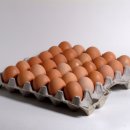 충남계란총판장 이미지