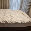 더함 | [소노벨 천안 내돈내산 후기] 객실, 소노벨천안 셰프스키친 조식(더 함 레스토랑)