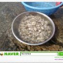 복룡농장 이미지