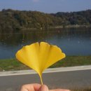 라라코스트충주연수점 이미지