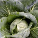 에스앤유서울비뇨의학과의원 이미지