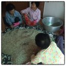 초리넝쿨마을 이미지