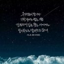 엄지공주