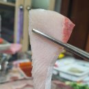 바다생협정릉점 | [성북구/정릉 횟집] 여전히 양이 푸짐한 방어회 맛집 '바다생협 정릉점'