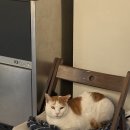 우이마루 이미지