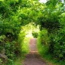 서광동리 이미지