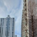 대흥동태영아파트 상가 이미지