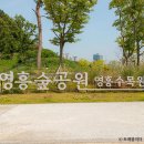 영흥수목원 야외 이미지