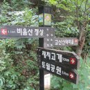 토월약수터 티스토리